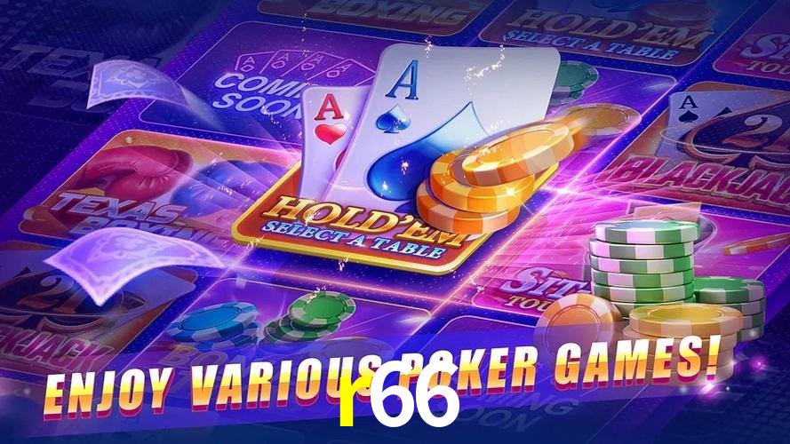 Programa VIP r66